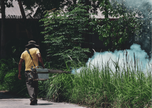 health-worker-fumigating-garden