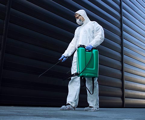 pest control services in Bangladesh