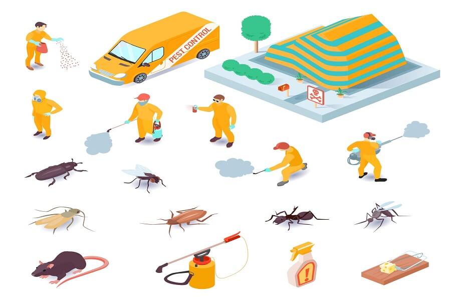 Best Pest Control Services in Bangladesh