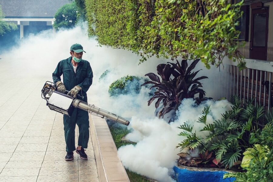 Professional mosquito control services in Dhaka